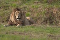 Cjp_2011_08_02_170009 (1).jpg